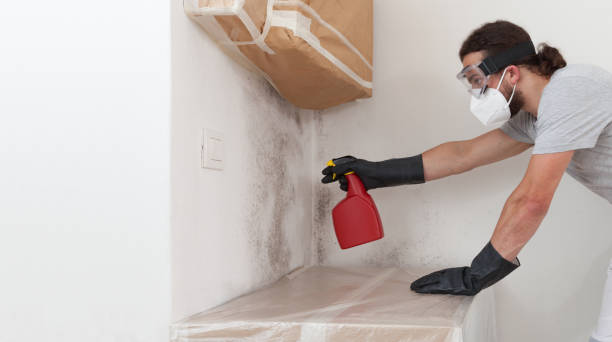 Professional Bathroom Mold Removal technician working in Duluth, MN
